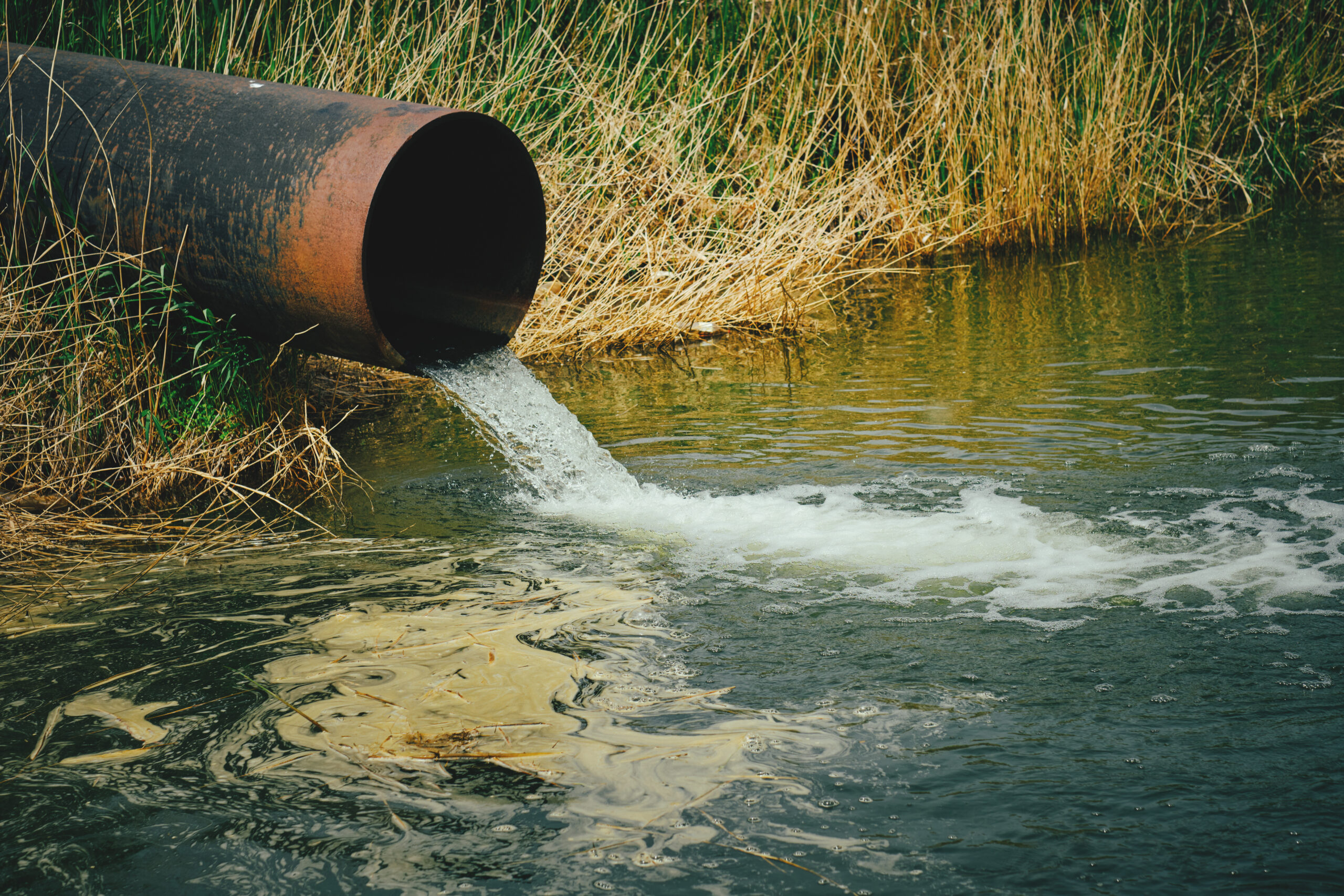 Draining sewage from pipe into river pollution rivers and ecology